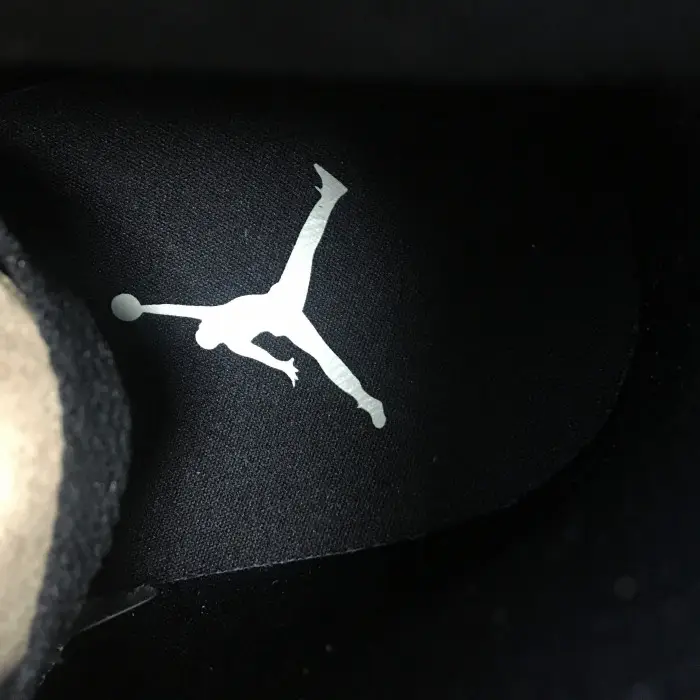 Air Jordan 1 High Mushroom 