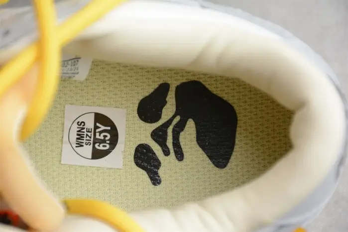 O-W X DUNK LOW “29 OF 50” 