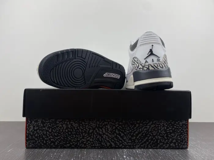 Jordan 3 Retro Hide N' Sneak -DX6665-100 
