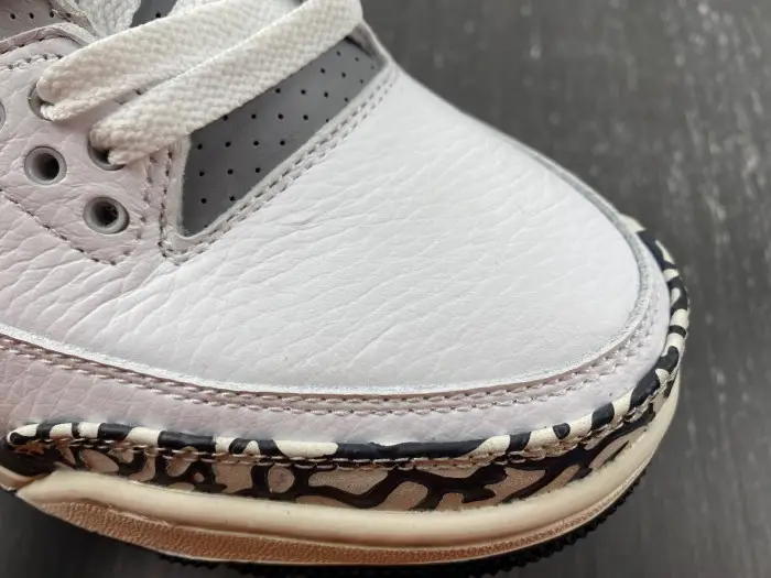 Jordan 3 Retro Hide N' Sneak -DX6665-100 