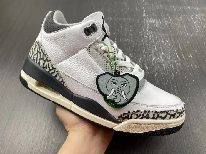 Jordan 3 Retro Hide N' Sneak -DX6665-100 