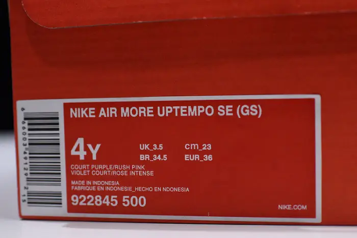 Nike Air More Uptempo SE GS Court Purple 