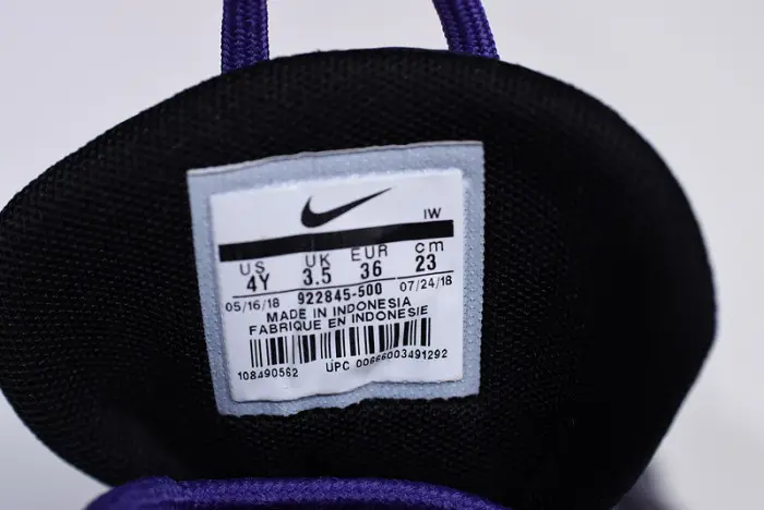 Nike Air More Uptempo SE GS Court Purple 