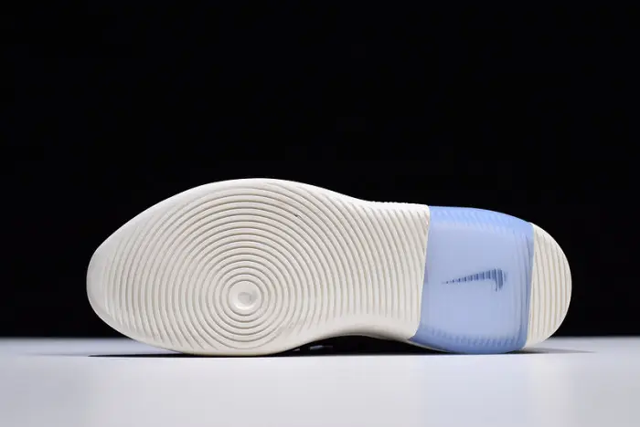 Nike Air Fear of God 1 Black 
