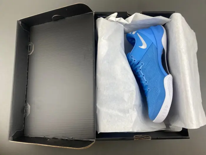 Nike Kobe 8 Protro TB Game Royal-HM6469-401 