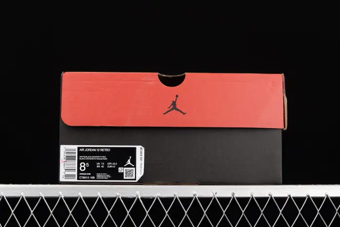 Air Jordan 12 "Twist" 