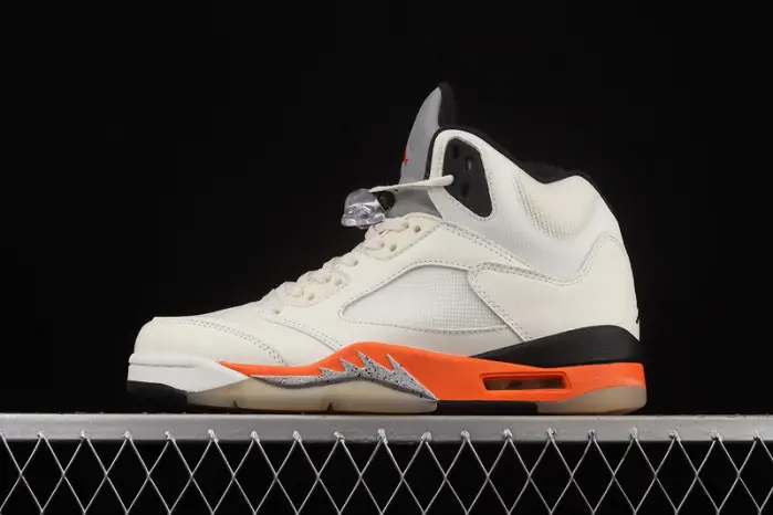 Air Jordan 5 Shattered Backboard 