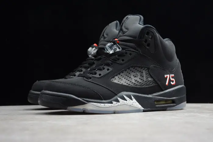 Air Jordan 5 Paris Saint-Germain 