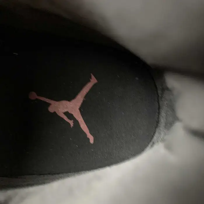 Air Jordan 11 “Animal Instinct” BDBE371
