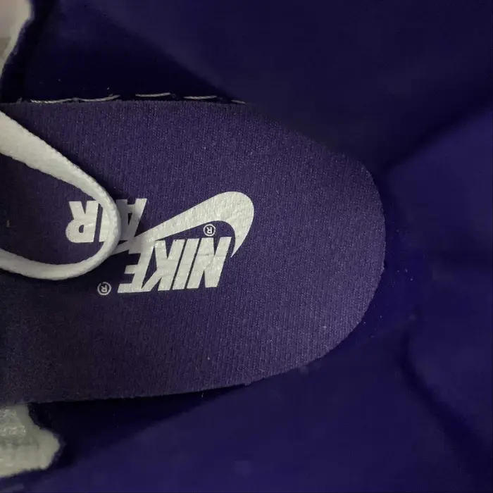 Air Jordan 1 WMNS “Court Purple” 