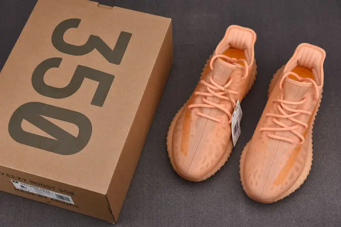 ADIDAS Yeezy Boost 350 V2 'Mono Clay' 