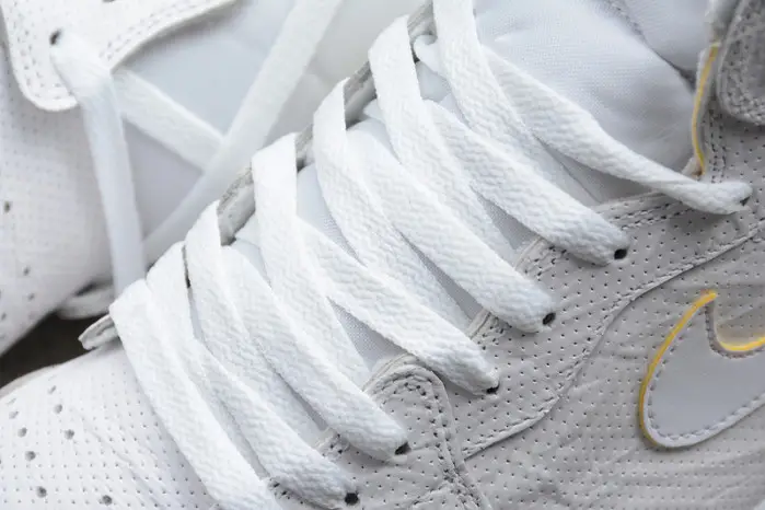Air Jordan 1 First Class Flight 