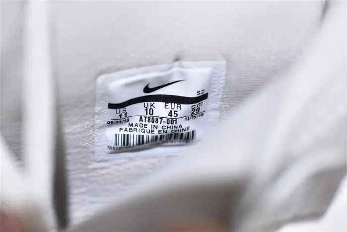 Nike Air Fear of God Raid Light Bone 