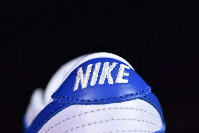 Nike dunk low sb kentucky 