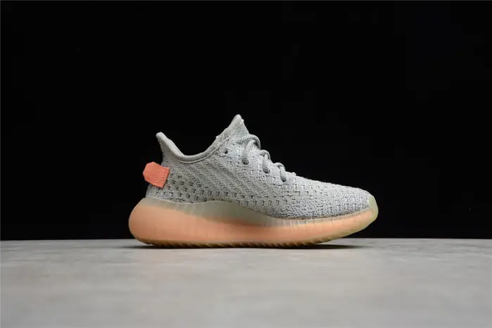 KIDS adidas Yeezy Boost 350 V2 “true form” 