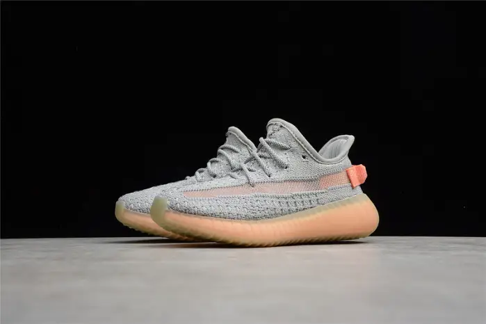KIDS adidas Yeezy Boost 350 V2 “true form” 