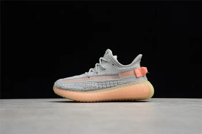 KIDS adidas Yeezy Boost 350 V2 “true form” CCB2154
