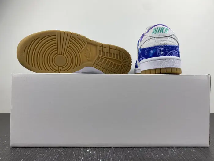 Nike SB Dunk Low Retro SP-CT5053-041  CBE80