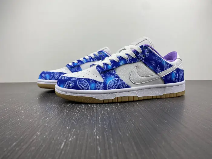 Nike SB Dunk Low Retro SP-CT5053-041  CBE80