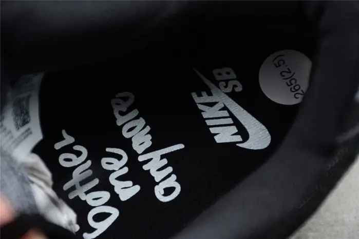 Wasted Youth × Nike Dunk SB Low “Black” DD8386-001 