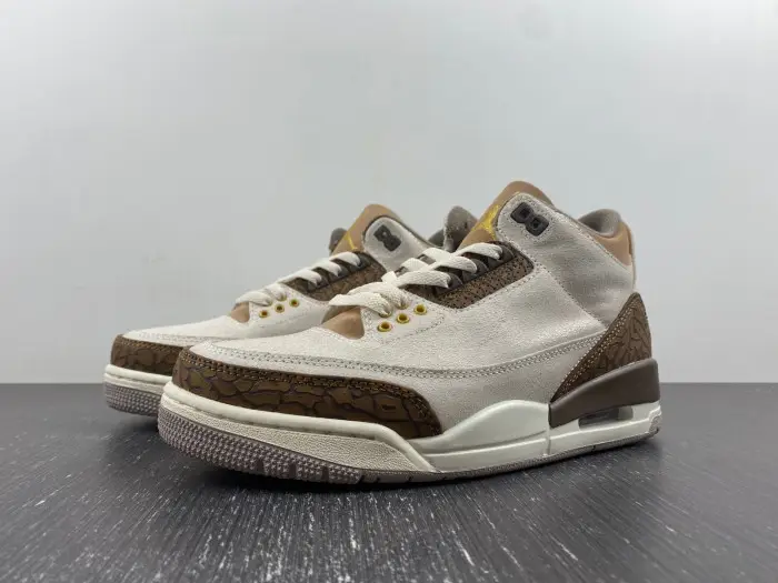 Air Jordan 3  Palomino-CT8532-102  EED190
