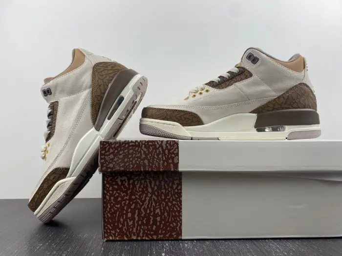Air Jordan 3  Palomino-CT8532-102 