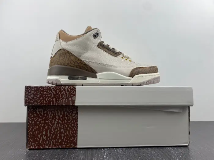 Air Jordan 3  Palomino-CT8532-102  EED190