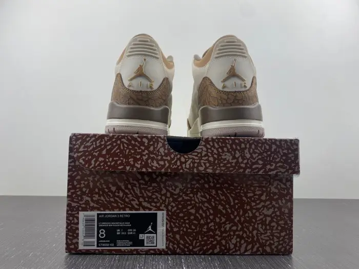Air Jordan 3  Palomino-CT8532-102 
