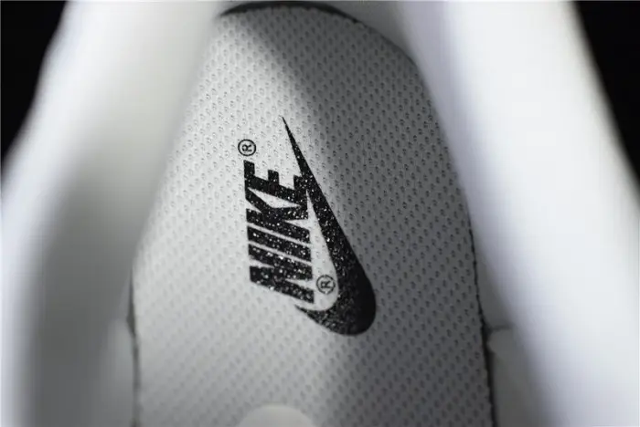 NIKE DUNK LOW PHOTON DUST (W) - 