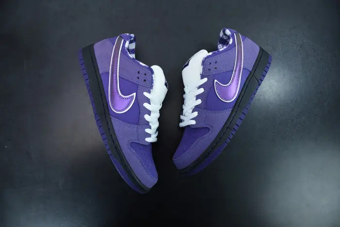 Nike SB Dunk Low Concepts Purple Lobster-BV1310-555 