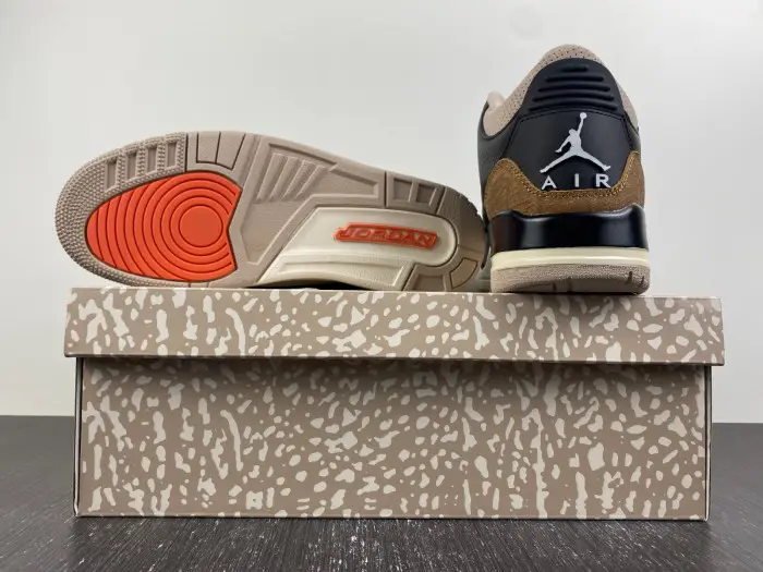 Jordan 3 Retro Desert Elephant-CT8532-008 