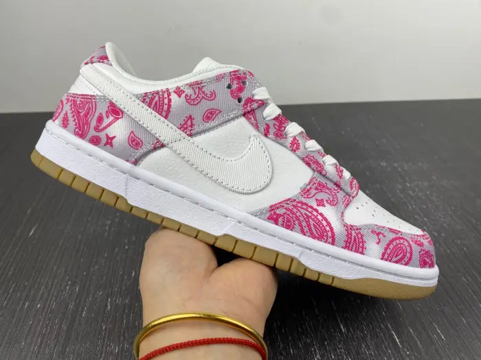 Nike SB Dunk Low Retro SP-CT5053-061 